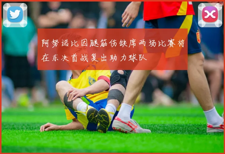 阿努诺比因腿筋伤缺席两场比赛将在东决首战复出助力球队